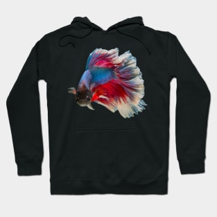 Siamese Fighting fish lovely design for people who keep tropical fish Hoodie